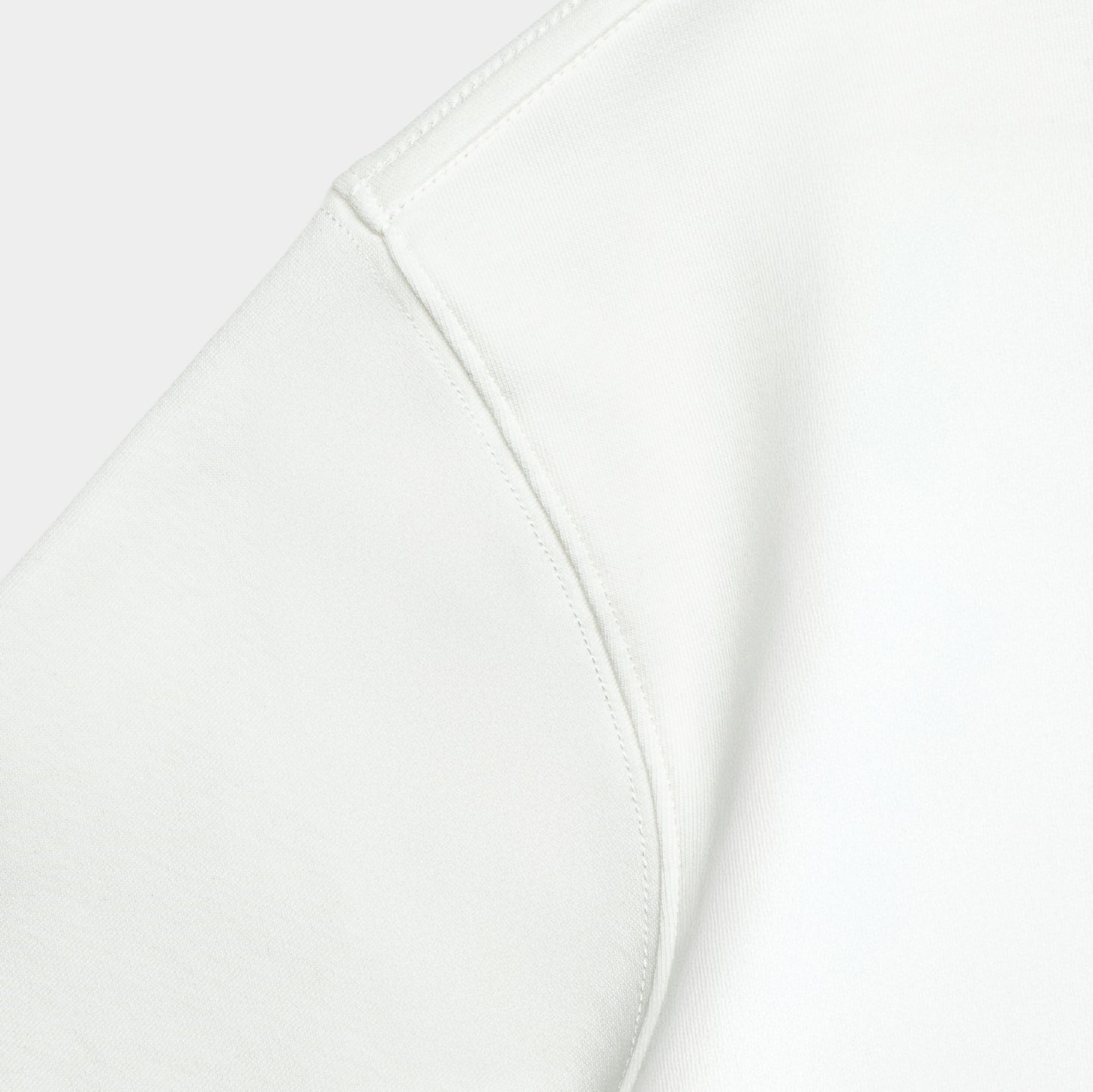 atmos x Tiger Graphic Interlock Oversized Tee