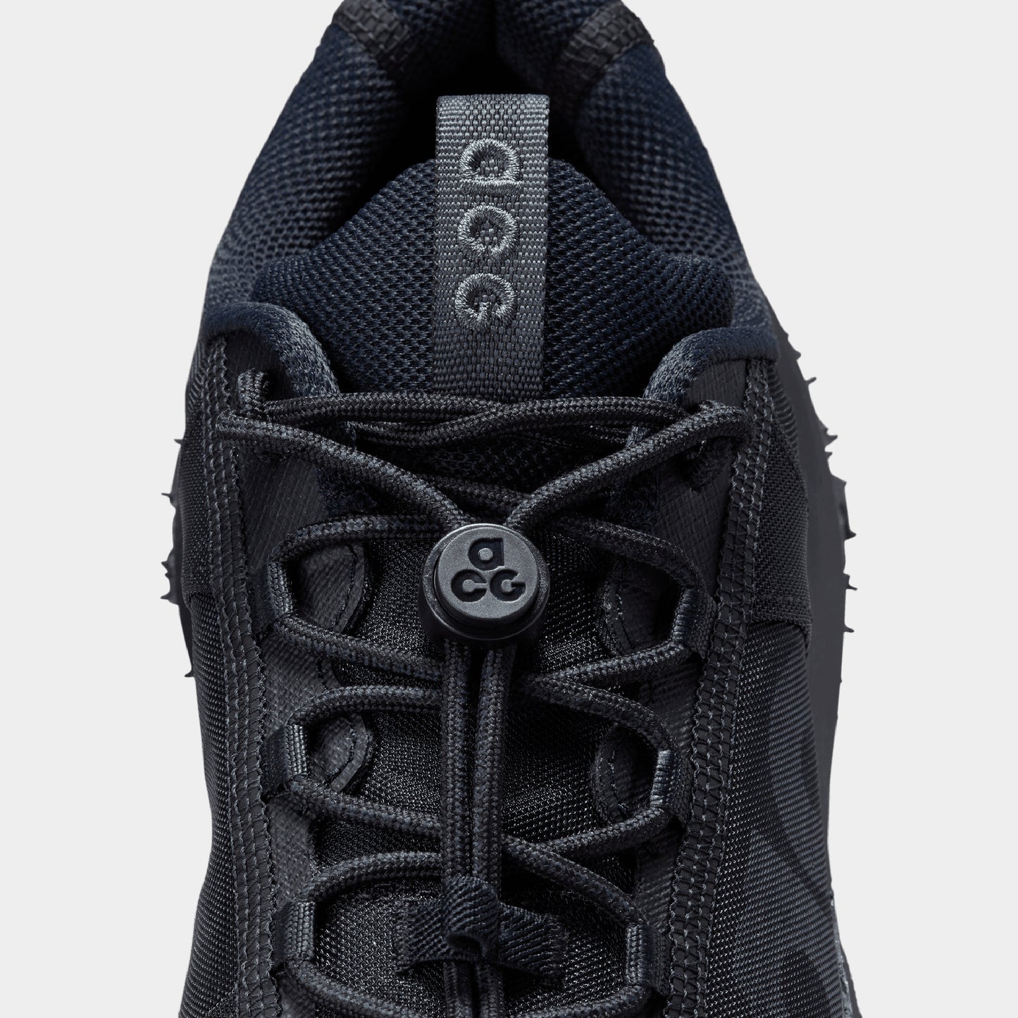 Nike ACG Mountain Fly 2 Low