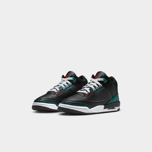 Air Jordan 3 Retro (GS)