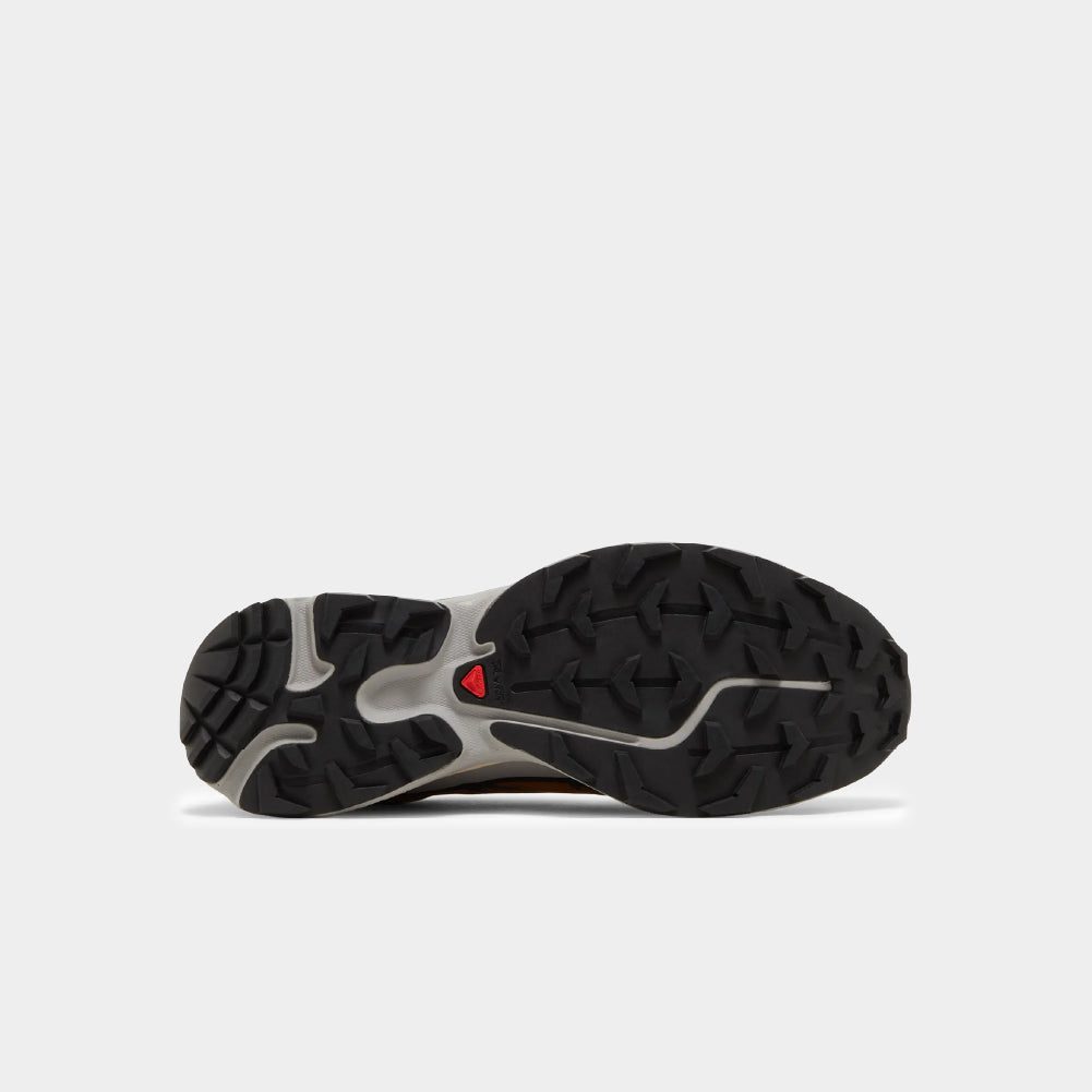 Salomon XT-6