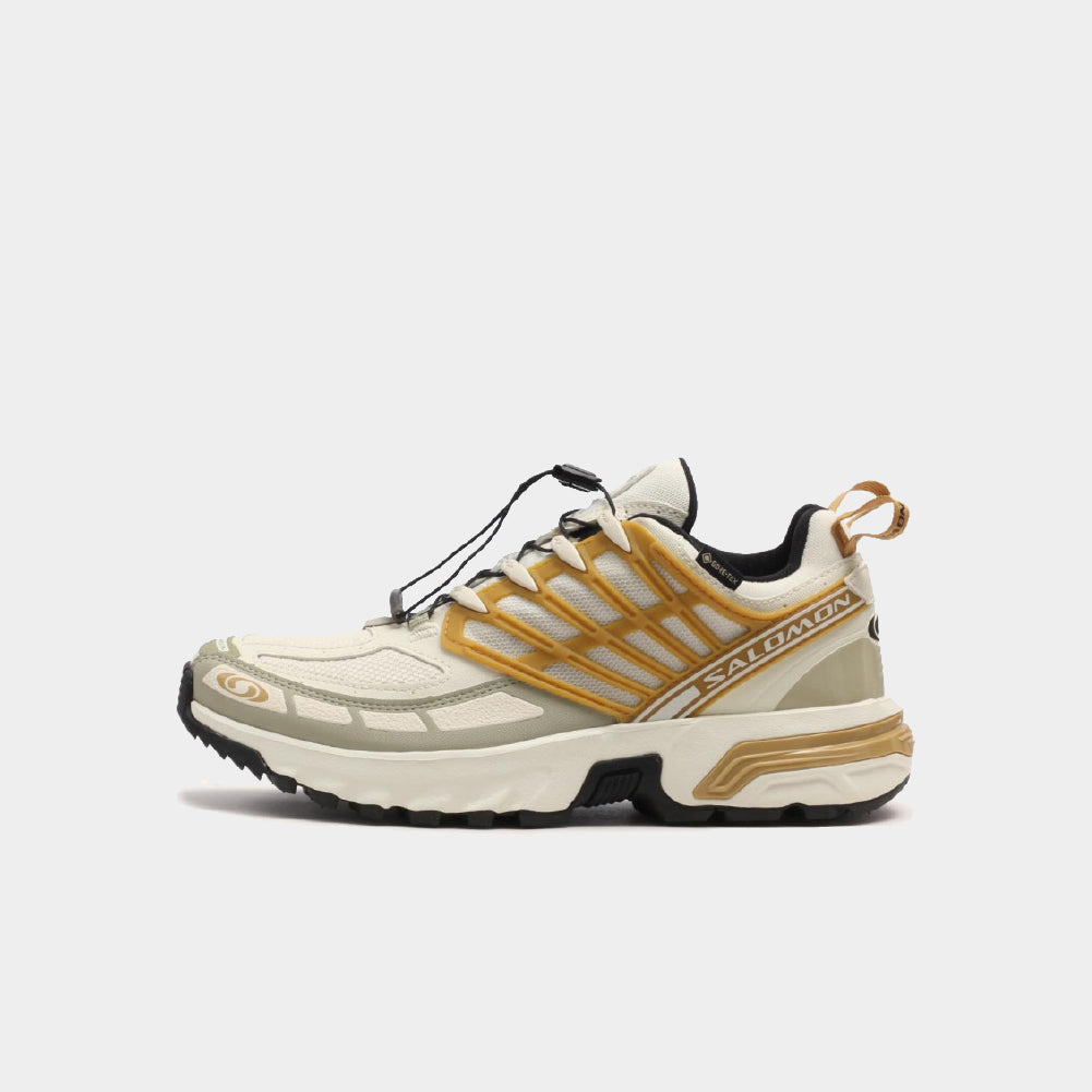 Salomon Acs Pro GTX