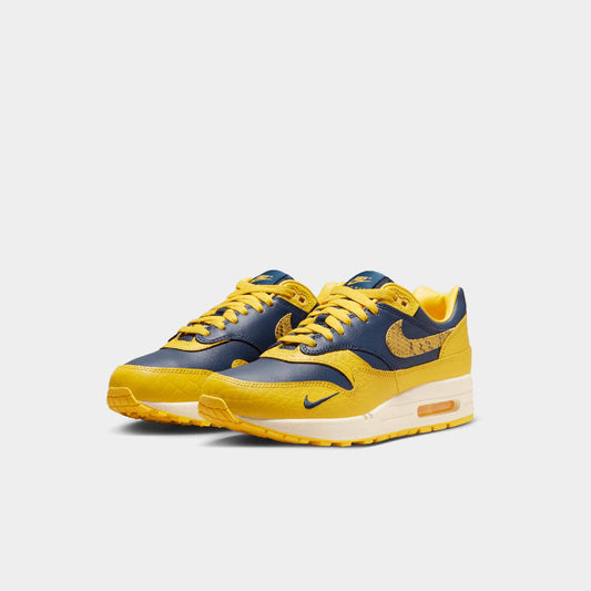 Nike Air Max 1 Premium (W)