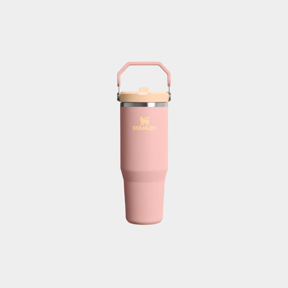 Stanley IceFlow Flip Straw 2.0 30 OZ Tumbler