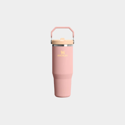 Stanley IceFlow Flip Straw 2.0 30 OZ Tumbler