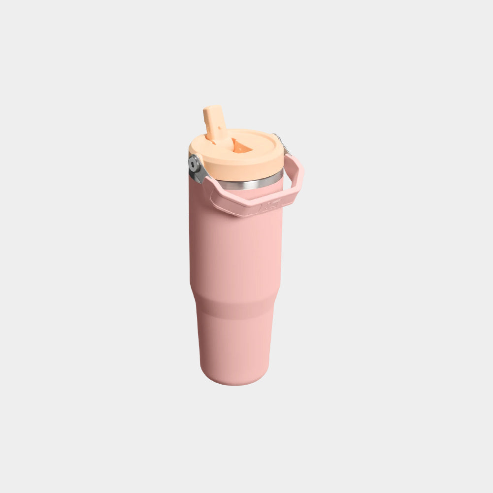 Stanley IceFlow Flip Straw 2.0 30 OZ Tumbler