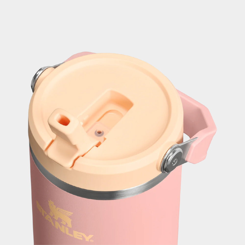 Stanley IceFlow Flip Straw 2.0 30 OZ Tumbler