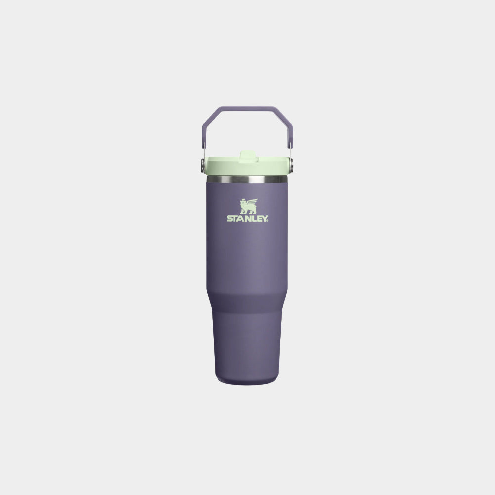Stanley IceFlow Flip Straw 2.0 30 OZ Tumbler