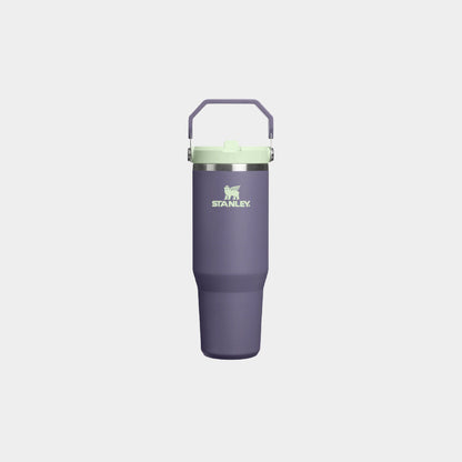 Stanley IceFlow Flip Straw 2.0 30 OZ Tumbler