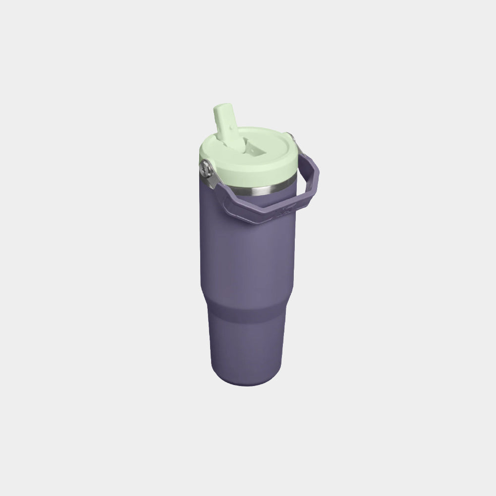 Stanley IceFlow Flip Straw 2.0 30 OZ Tumbler