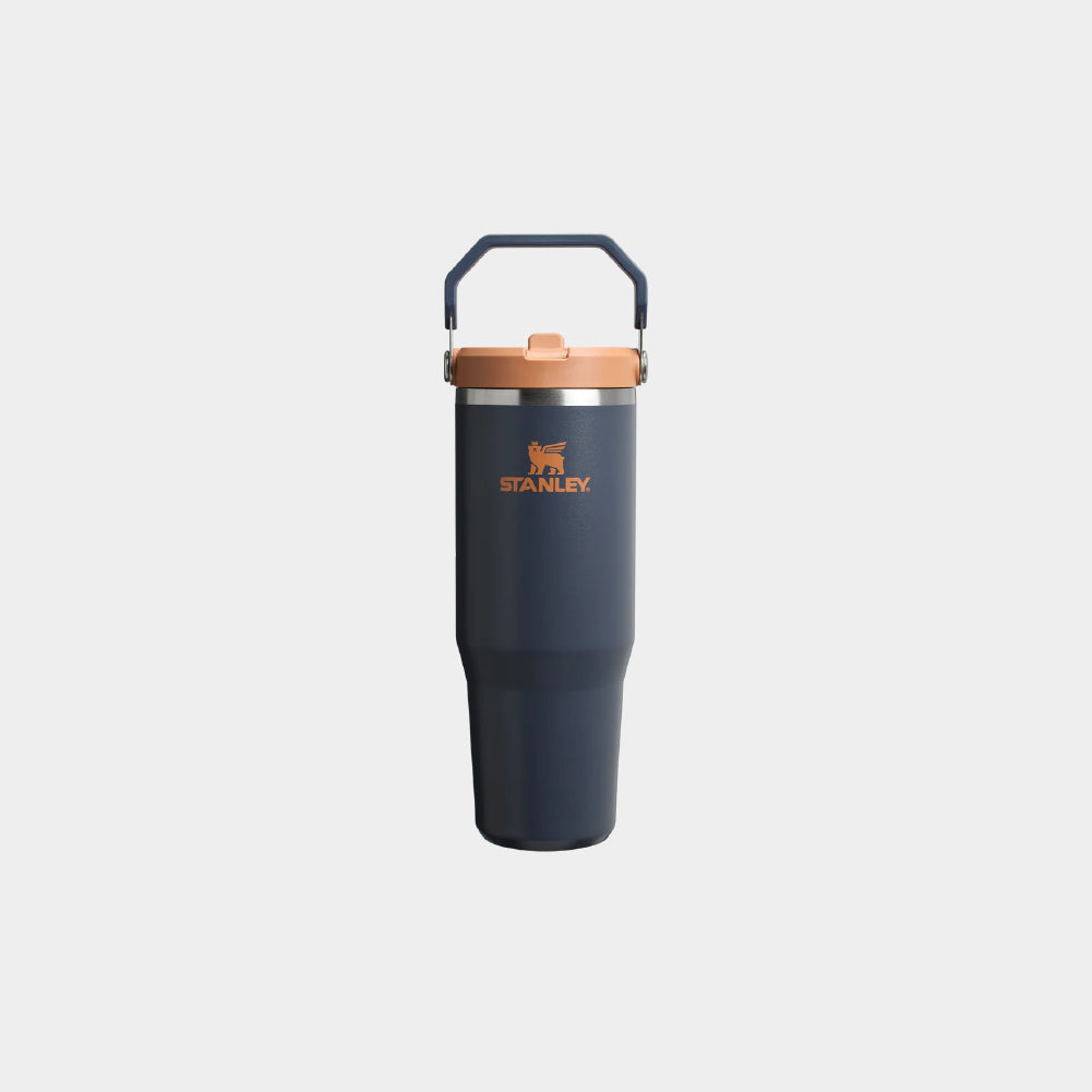 Stanley IceFlow Flip Straw 2.0 30 OZ Tumbler