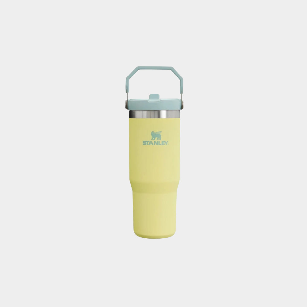 Stanley IceFlow Flip Straw 2.0 30 OZ Tumbler