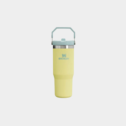 Stanley IceFlow Flip Straw 2.0 30 OZ Tumbler