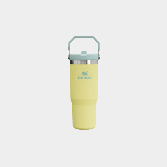 Stanley IceFlow Flip Straw 2.0 30 OZ Tumbler