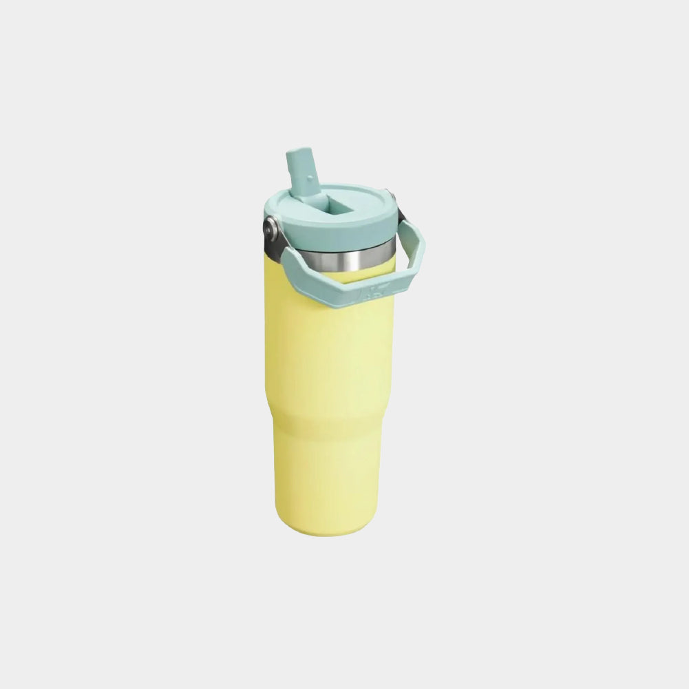 Stanley IceFlow Flip Straw 2.0 30 OZ Tumbler