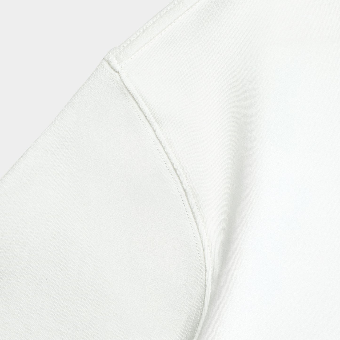 atmos x Tiger Graphic Interlock Cropped Tee