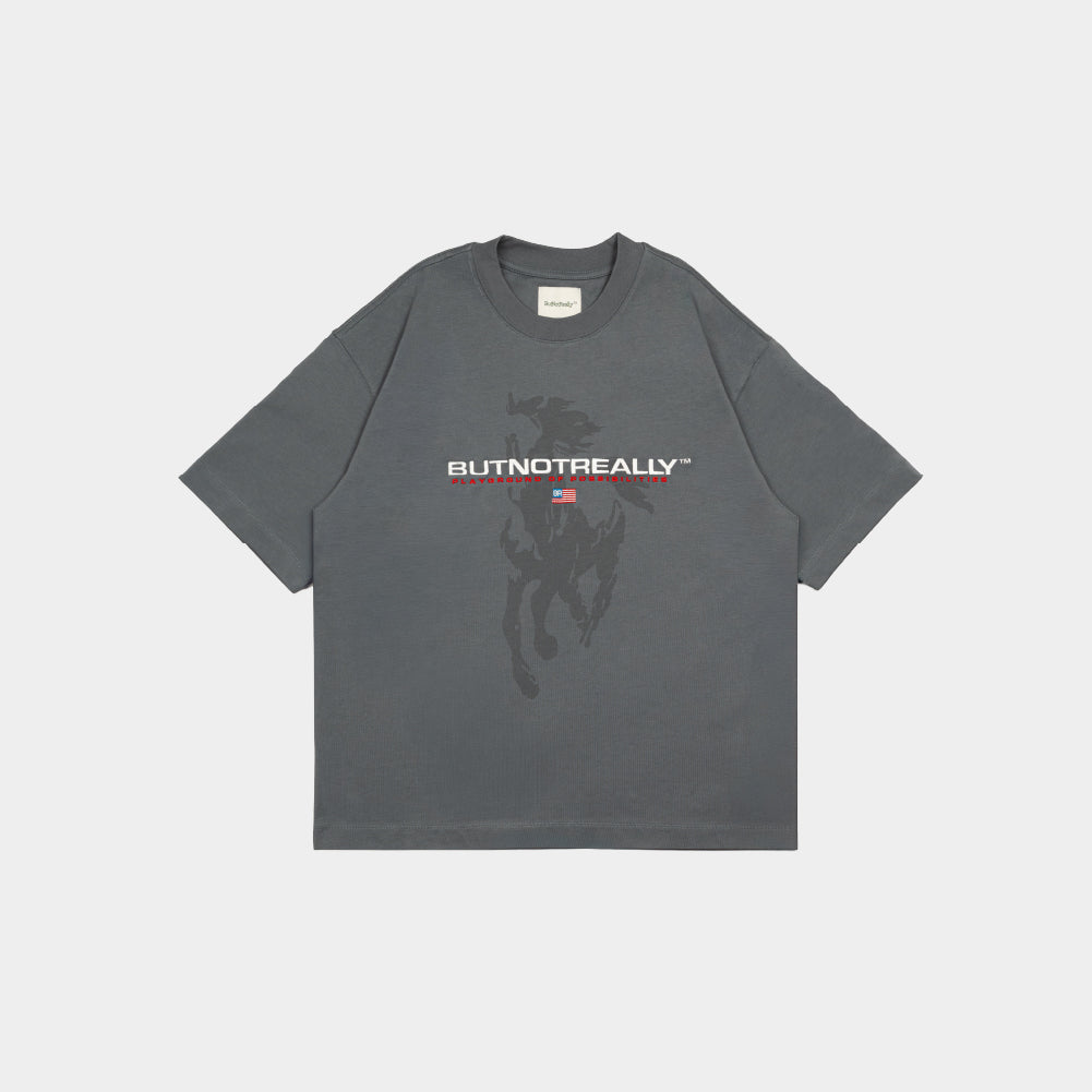 ButNotReally™ Graphic Cotton Oversized Tee