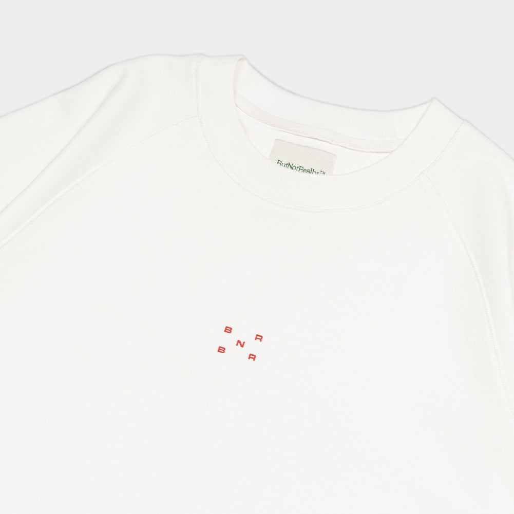 ButNotReally™ Graphic Interlock Oversized Raglan Tee