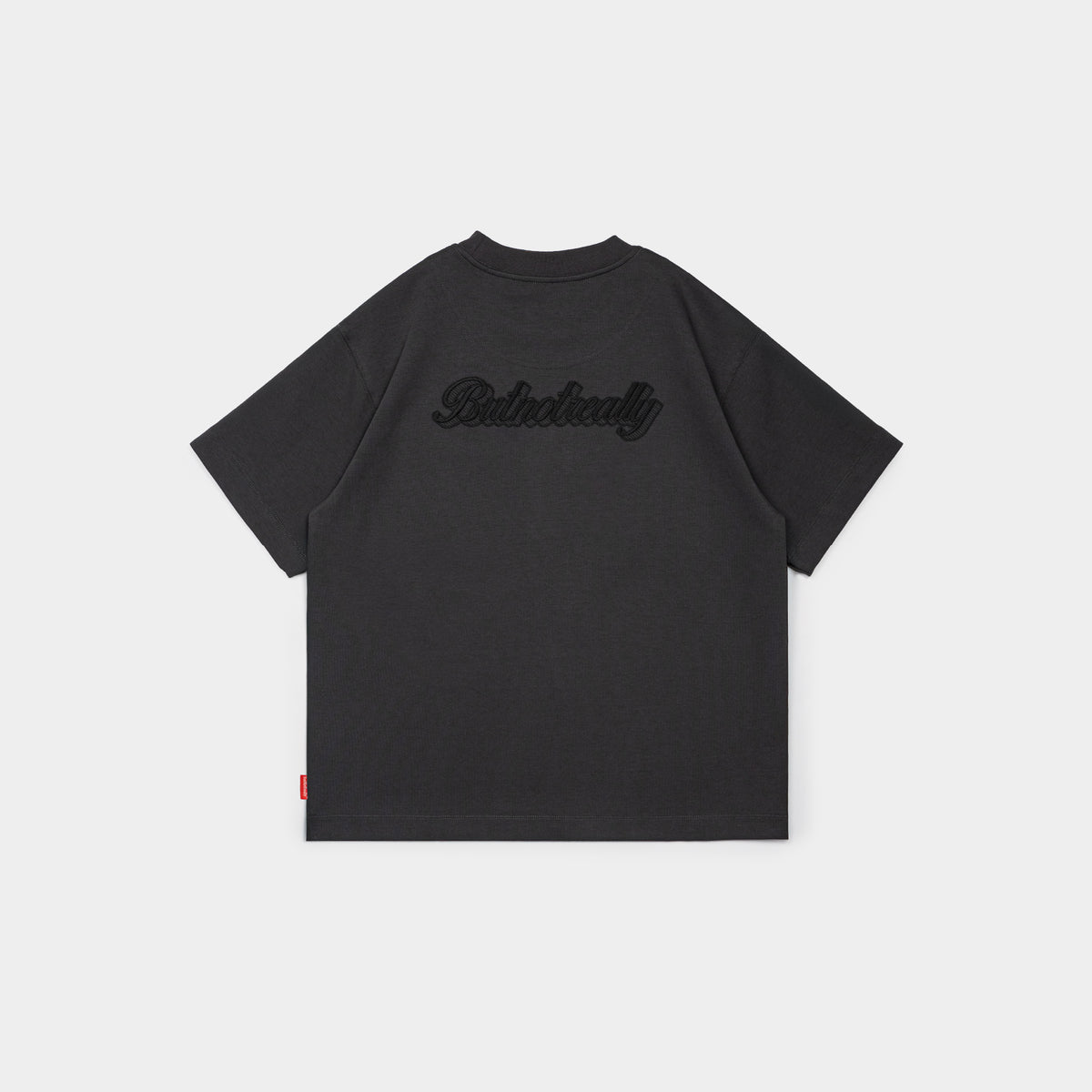ButNotReally™ Graphic Cotton Oversized Tee