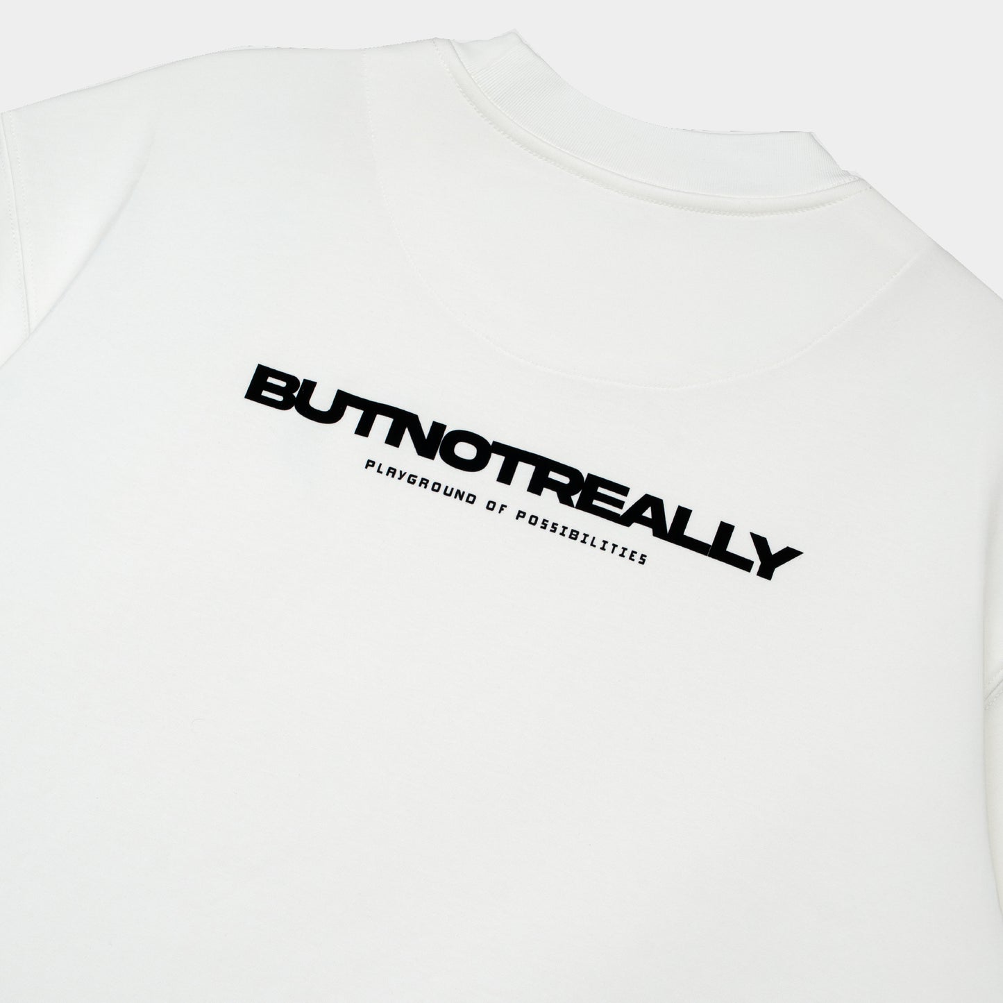 ButNotReally™ Graphic Interlock Oversized Tee