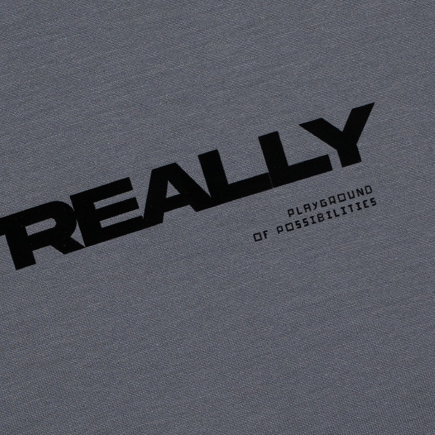 ButNotReally™ Graphic Interlock Oversized Tee