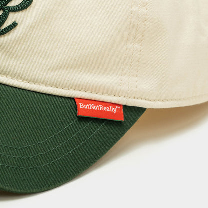 ButNotReally™ Graphic Embroidery Cap