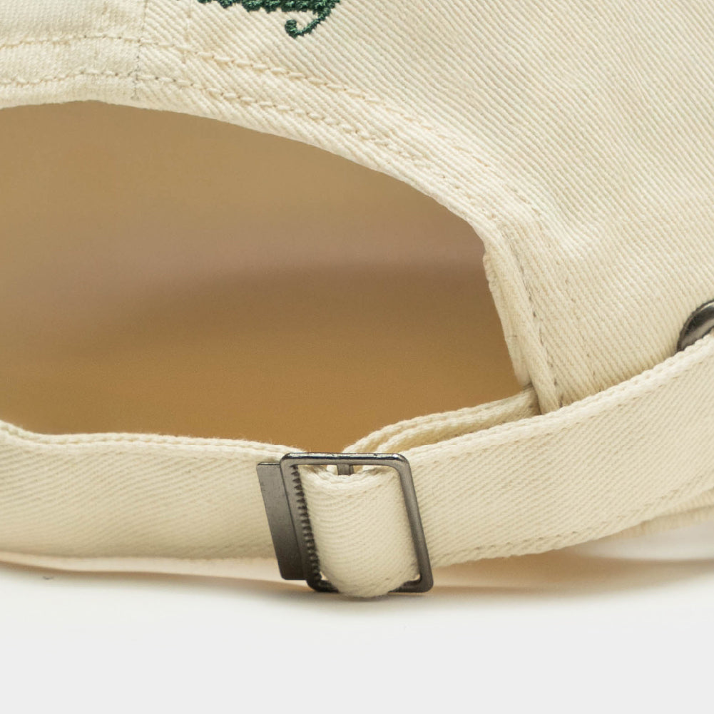 ButNotReally™ Graphic Embroidery Cap