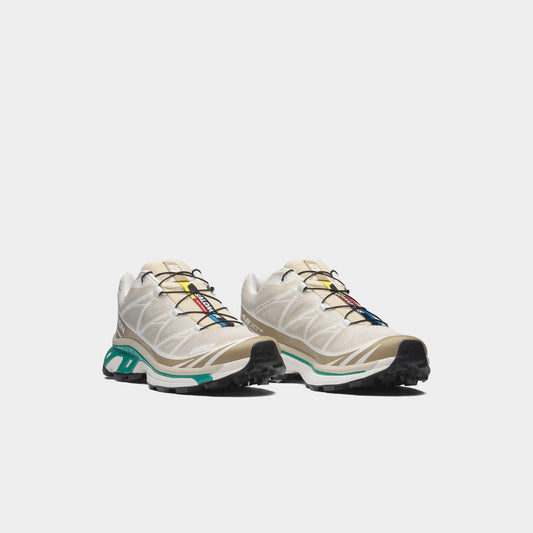 Salomon XT-6