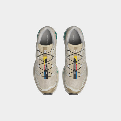 Salomon XT-6