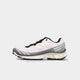 Salomon XT-6