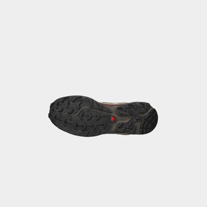 Salomon XT-6