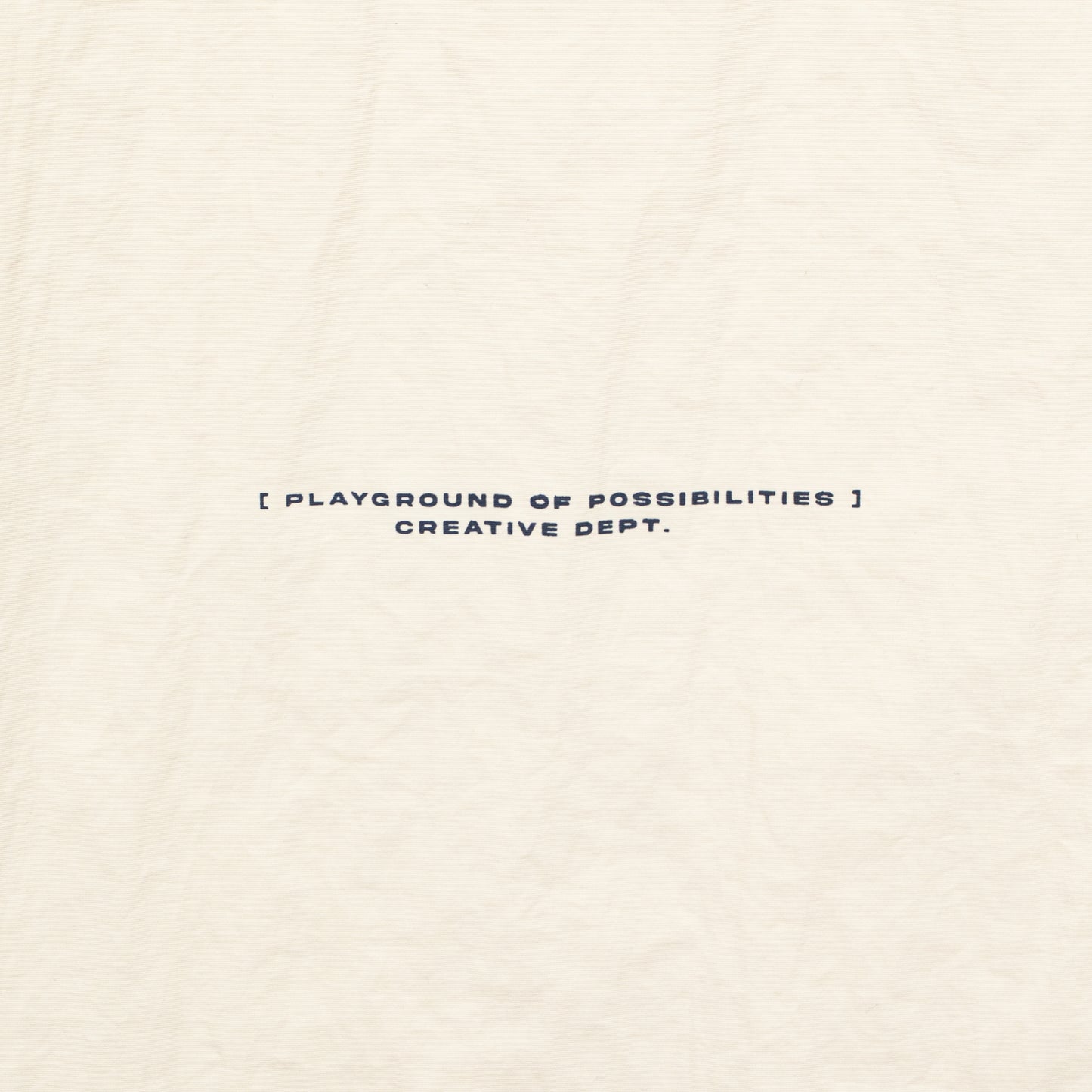 ButNotReally™ Graphic Nylon Oversized Tee