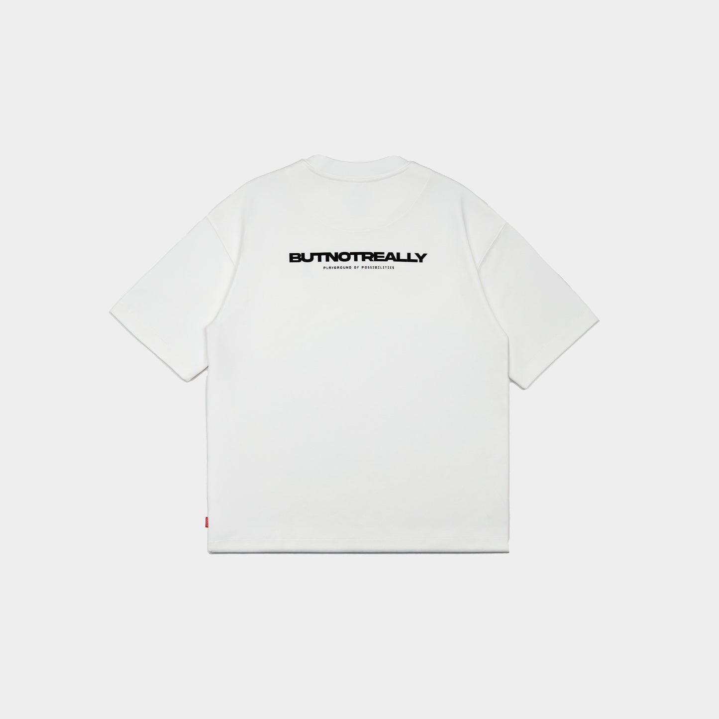 ButNotReally™ Graphic Interlock Oversized Tee
