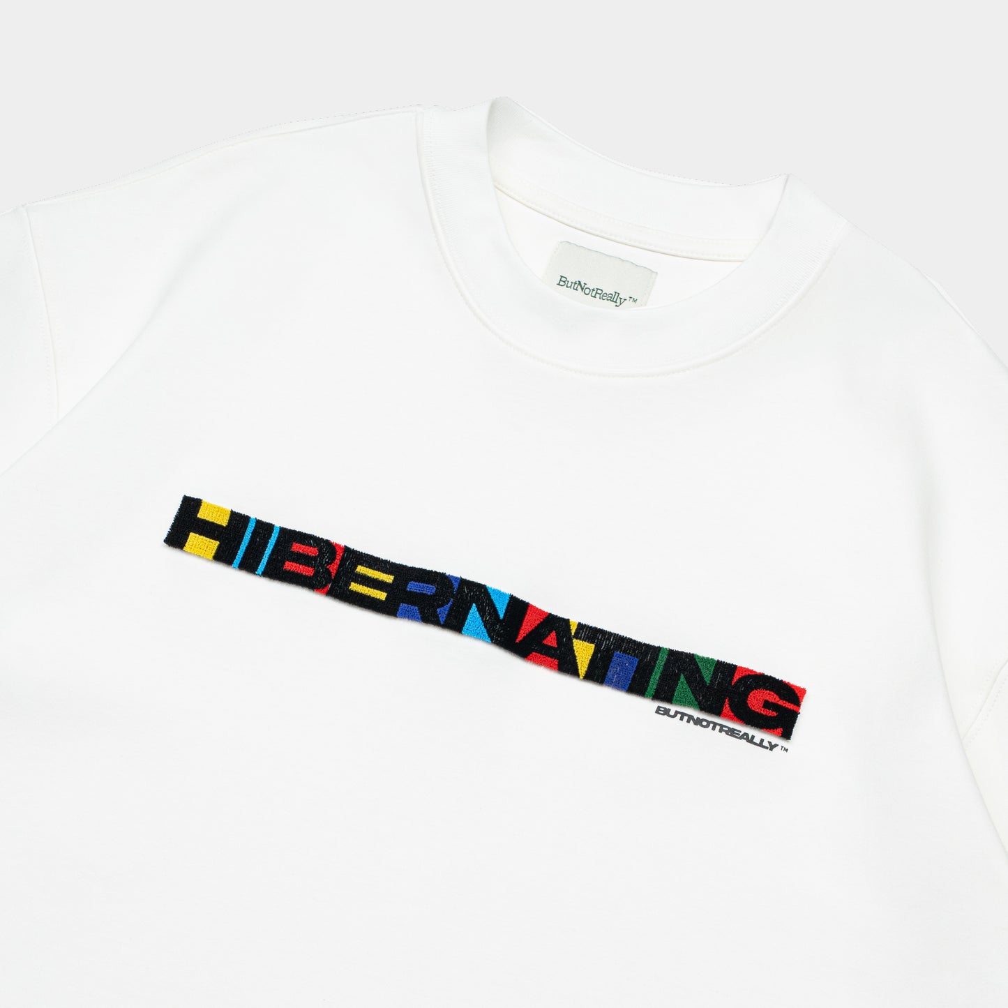 ButNotReally™ Graphic Interlock Oversized Tee