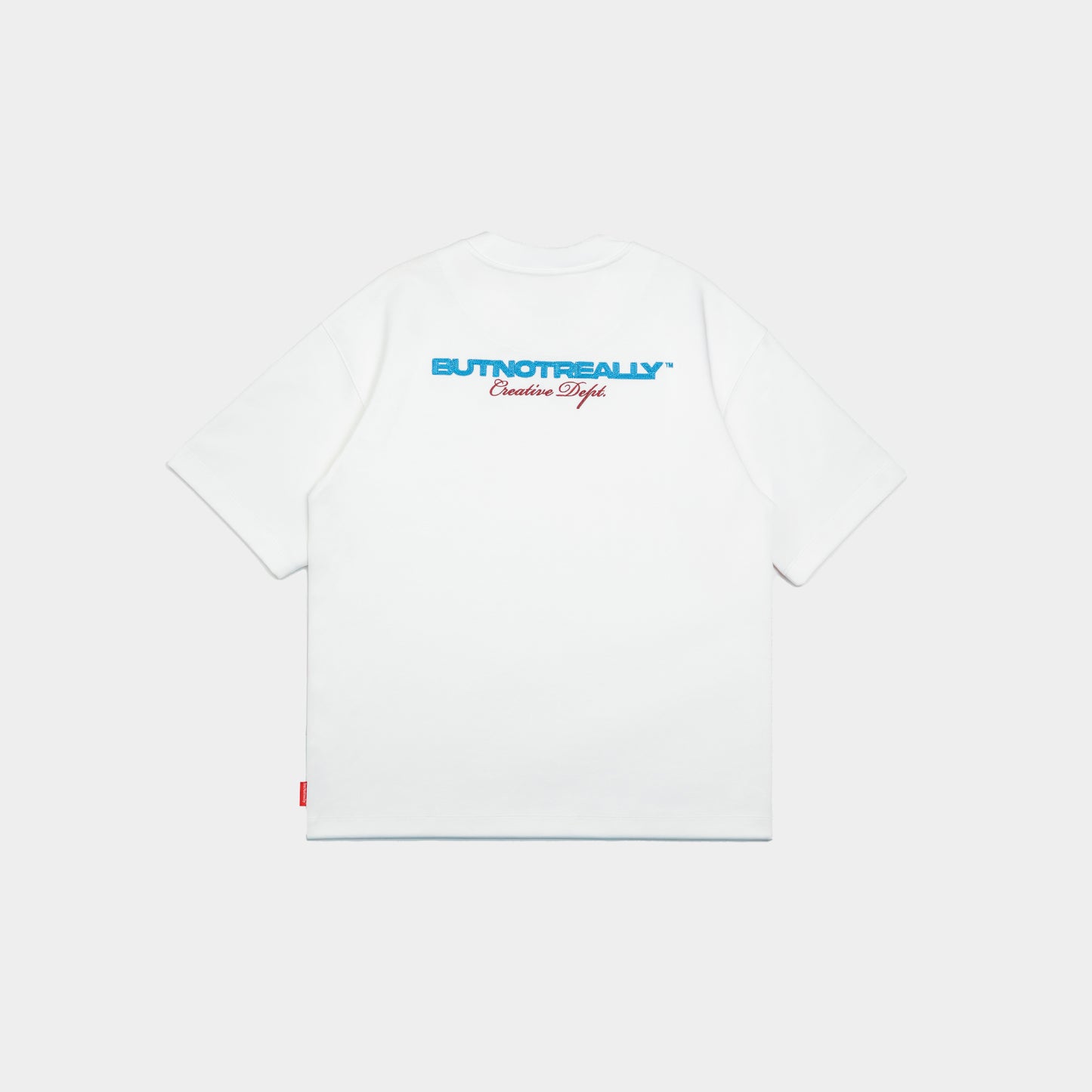 ButNotReally™ Graphic Interlock Oversized Tee