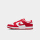 Nike Dunk Low (W)