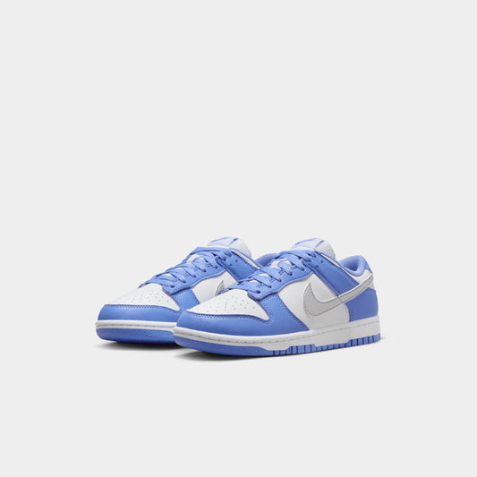 Nike Dunk Low Next Nature (W) atmos Kuala Lumpur