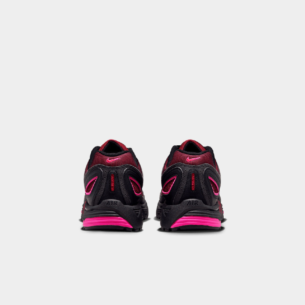 Nike Air Pegasus 2005