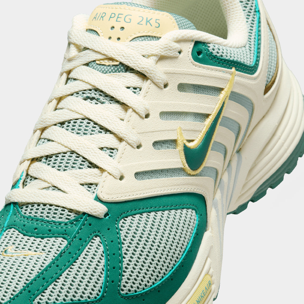 Nike Air Pegasus 2005