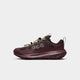 Nike ACG Mountain Fly 2 Low GORE-TEX