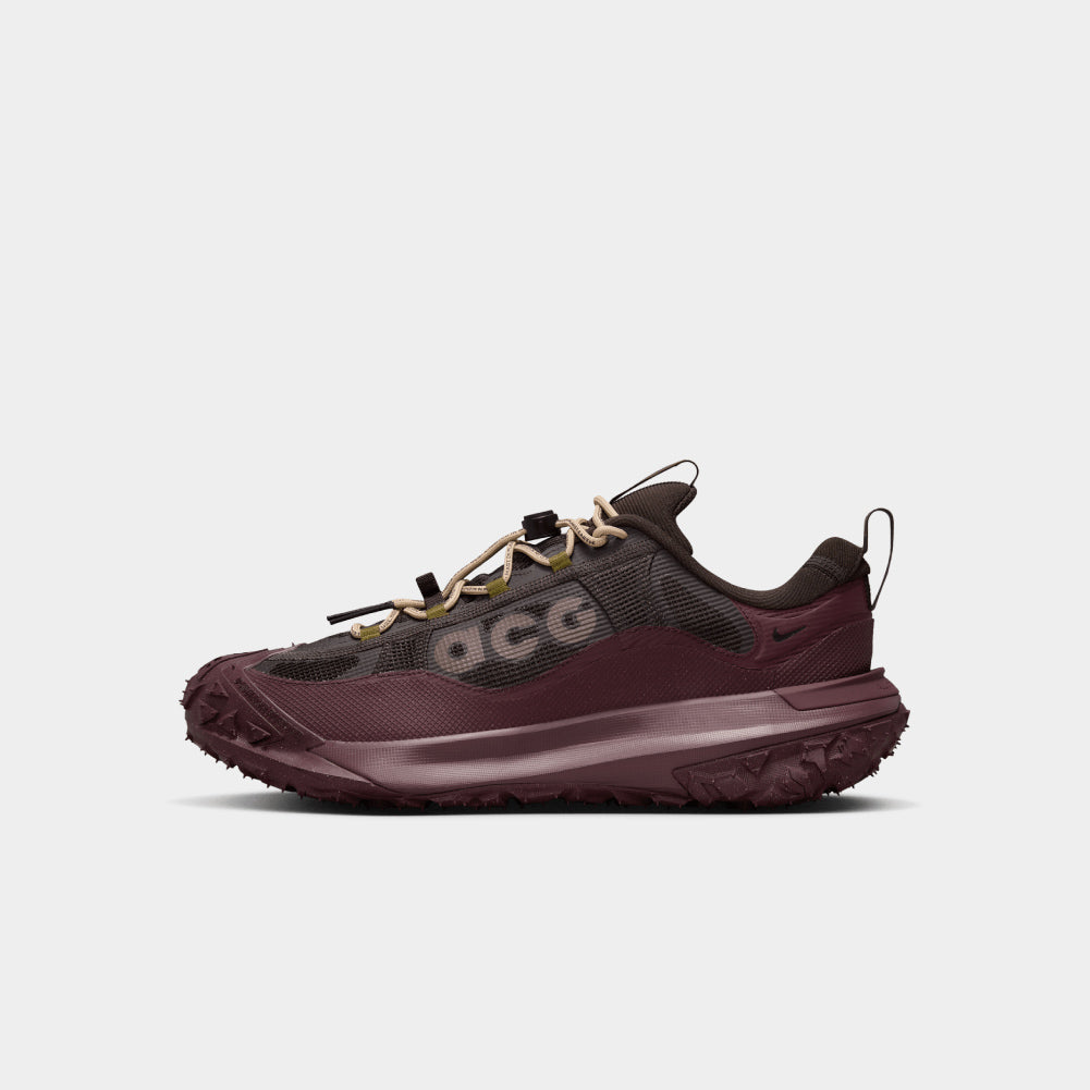 Nike ACG Mountain Fly 2 Low GORE-TEX
