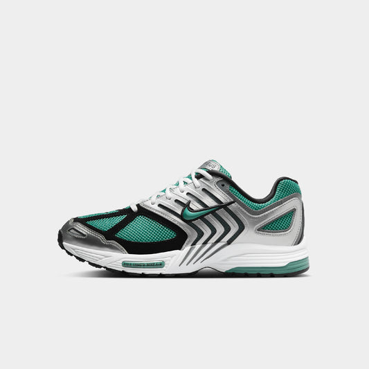 Nike Air Pegasus 2005