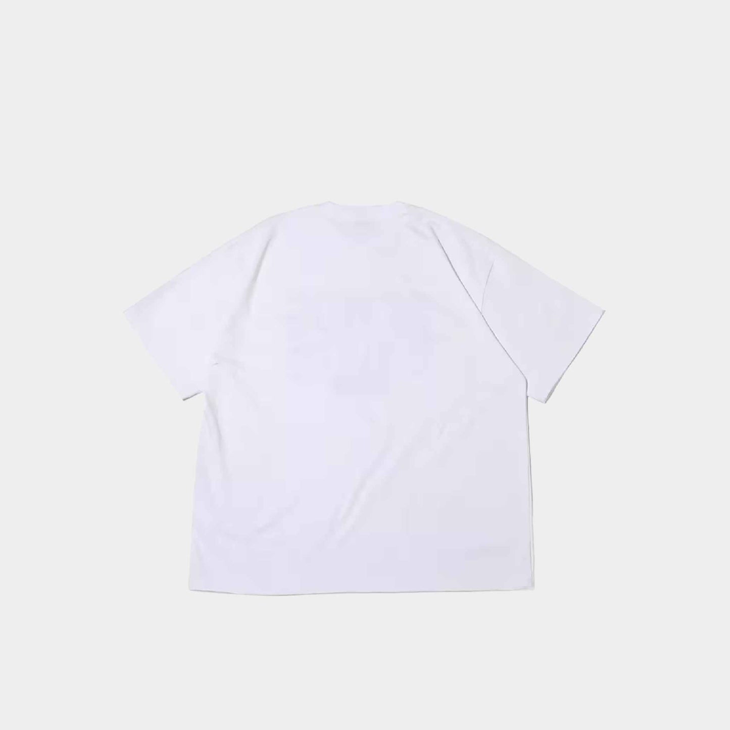 atmos Vintage College Logo Tee