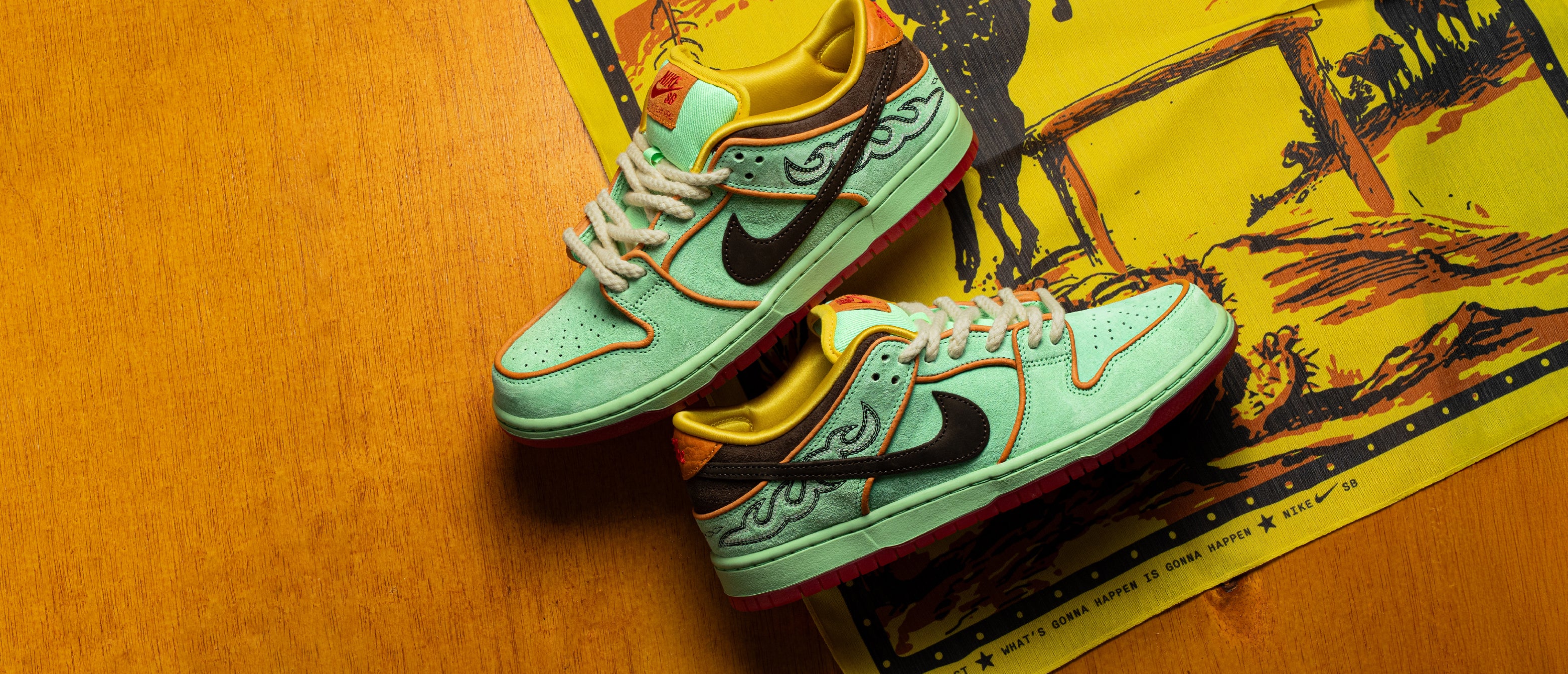 Nike SB Dunk Low Pro 