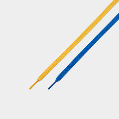 Air Jordan 1 Retro High OG (W)